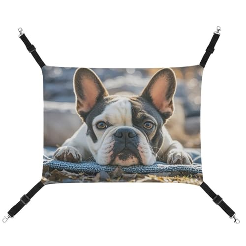 RTFGHJS Hängende Haustier-Hängematte für Käfig, weich, atmungsaktiv, französische Bulldogge, niedliches Haustierkäfigbett mit Metallhaken, für kleine Haustiere, Schlafunterlage für Katzen, Hunde, RTFGHJS Hängende Haustier-Hängematte für Käfig, weich, atmungsaktiv, französische Bulldogge, niedliches Haustierkäfigbett mit Metallhaken, für kleine Haustiere, Schlafunterlage für Katzen, Hunde, von RTFGHJS