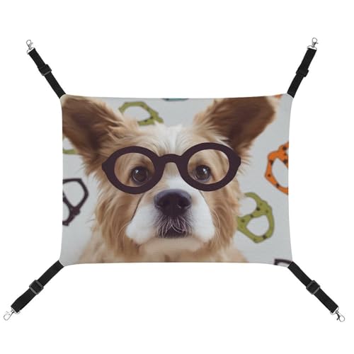 RTFGHJS Hängende Haustier-Hängematte für Käfig, weich, atmungsaktiv, lustige Hundebrille, Haustierkäfigbett mit Metallhaken, für kleine Haustiere, Schlafunterlage für Katzen, Hunde, Kaninchen, andere RTFGHJS Hängende Haustier-Hängematte für Käfig, weich, atmungsaktiv, lustige Hundebrille, Haustierkäfigbett mit Metallhaken, für kleine Haustiere, Schlafunterlage für Katzen, Hunde, Kaninchen, andere von RTFGHJS