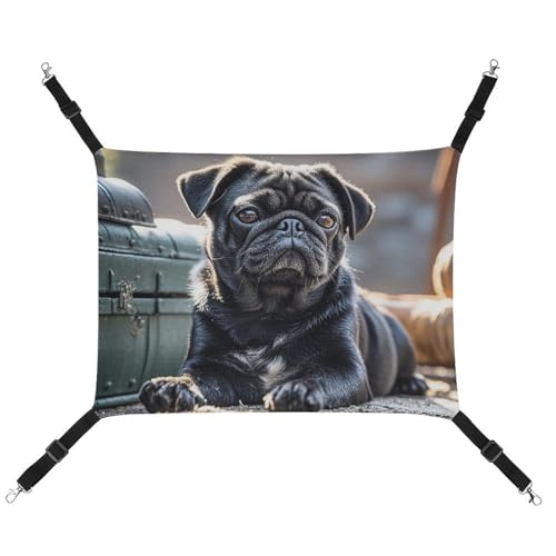 RTFGHJS Hängende Haustier-Hängematte für Käfig, weich, atmungsaktiv, niedlich, schwarz, Mops, Hundekäfigbett mit Metallhaken, für kleine Haustiere, Schlafunterlage für Katzen, Hunde, Kaninchen, andere RTFGHJS Hängende Haustier-Hängematte für Käfig, weich, atmungsaktiv, niedlich, schwarz, Mops, Hundekäfigbett mit Metallhaken, für kleine Haustiere, Schlafunterlage für Katzen, Hunde, Kaninchen, andere von RTFGHJS