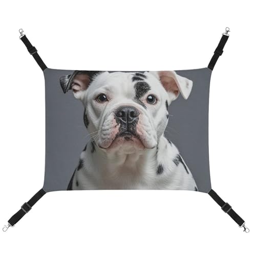 RTFGHJS Hängende Haustier-Hängematte für Käfig, weich, atmungsaktiv, niedliches Dalmatiner-Haustierkäfigbett mit Metallhaken, für kleine Haustiere, Schlafunterlage für Katzen, Hunde, Kaninchen, andere von RTFGHJS