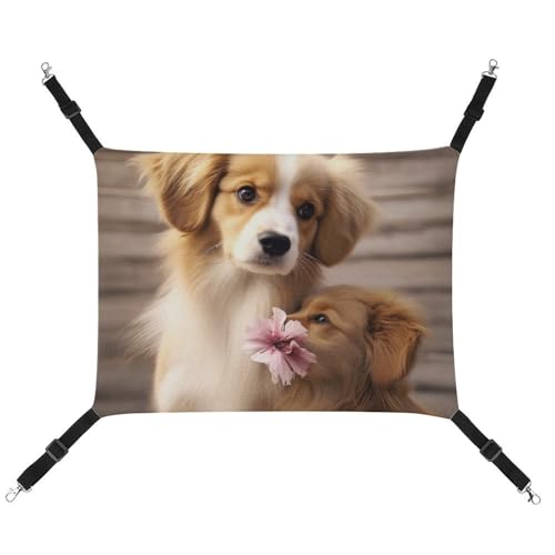 RTFGHJS Hängende Haustier-Hängematte für Käfig, weich, atmungsaktiv, niedliches Hundekäfigbett mit Metallhaken, für kleine Haustiere, Schlafunterlage für Katzen, Hunde, Kaninchen, andere Kleintiere von RTFGHJS