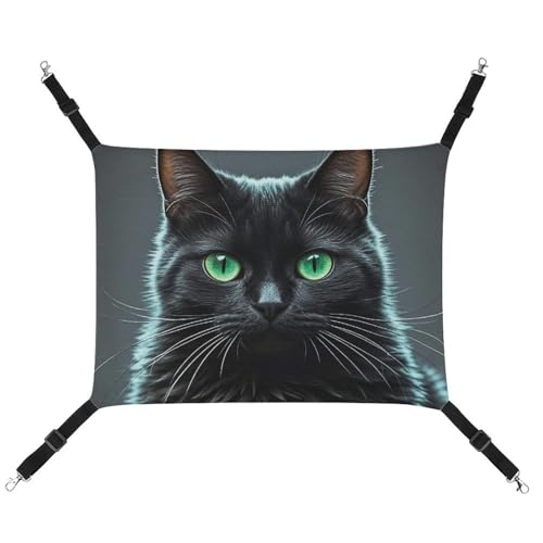RTFGHJS Hängende Haustier-Hängematte für Käfig, weich, atmungsaktiv, schwarz, grüne Augen, Haustierkäfigbett mit Metallhaken, für kleine Haustiere, Schlafunterlage für Katzen, Hunde, Kaninchen, andere RTFGHJS Hängende Haustier-Hängematte für Käfig, weich, atmungsaktiv, schwarz, grüne Augen, Haustierkäfigbett mit Metallhaken, für kleine Haustiere, Schlafunterlage für Katzen, Hunde, Kaninchen, andere von RTFGHJS