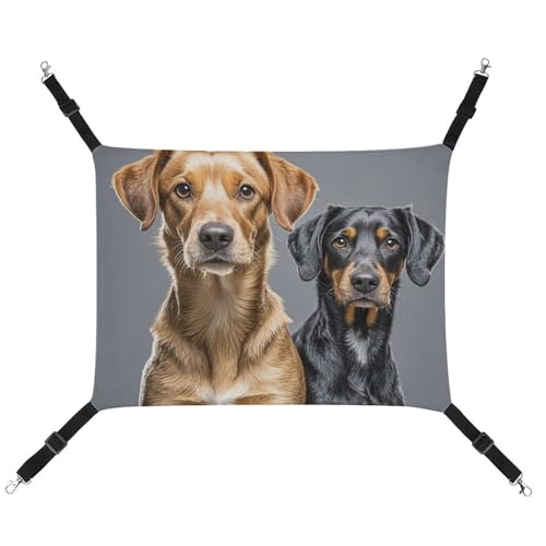 RTFGHJS Hängende Haustier-Hängematte für Käfig, weich, atmungsaktiv, zwei verschiedene Hunde, Haustierkäfigbett mit Metallhaken, für kleine Haustiere, Schlafunterlage für Katzen, Hunde, Kaninchen, RTFGHJS Hängende Haustier-Hängematte für Käfig, weich, atmungsaktiv, zwei verschiedene Hunde, Haustierkäfigbett mit Metallhaken, für kleine Haustiere, Schlafunterlage für Katzen, Hunde, Kaninchen, von RTFGHJS