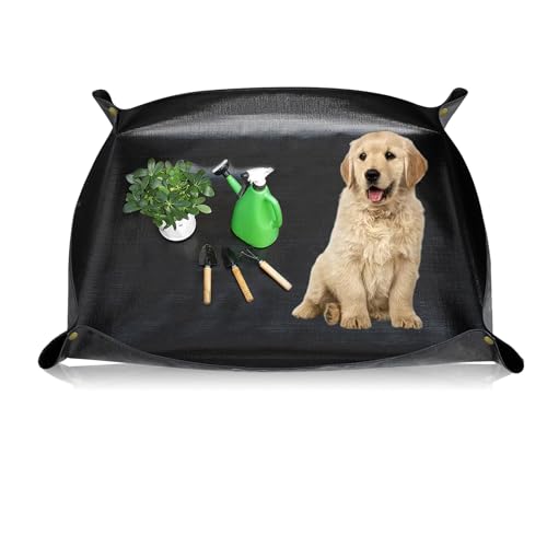 RTSHUK wasserdichte Haustier Laufgittermatte, 150x100cm Waschbare Haustier Unterlage Hamster Urinunterlage für Wiederverwendbar für Kaninchen Frettchen Andere Kleintiere Schwarz RTSHUK wasserdichte Haustier Laufgittermatte, 150x100cm Waschbare Haustier Unterlage Hamster Urinunterlage für Wiederverwendbar für Kaninchen Frettchen Andere Kleintiere Schwarz von RTSHUK