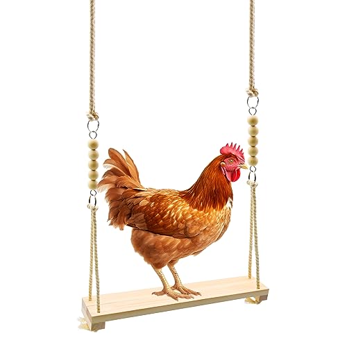 Chicken Swing Toys, 1/2/5/8/12pcs Chicken Toys, Chicken Xylophon, Chicken Swing, Chicken Mirror, Chicken Flexible Ladder, Chicken Vegetable String Bag and Hanging Feeder, Chicken Coop Toys (1pcs) von RUBY.Q