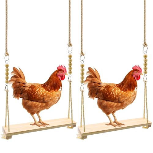 Chicken Swing Toys, 1/2/5/8/12pcs Chicken Toys, Chicken Xylophon, Chicken Swing, Chicken Mirror, Chicken Flexible Ladder, Chicken Vegetable String Bag and Hanging Feeder, Chicken Coop Toys (2pcs) von RUBY.Q