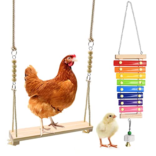 Chicken Swing Toys and Chicken Toys Xylophon, 2 Pack Chicken Toys for Poultry Run Rooster Hens Chicks Pet Papageien Aras Entertainment Stress Relief for Birds von RUBY.Q