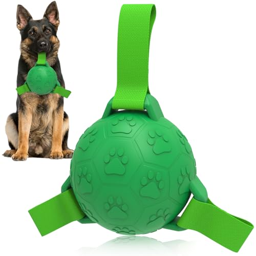 RUCACIO Hundespielzeug, unzerstörbare Hundebälle mit Riemen, robuster Hundefußball, Geburtstagsgeschenk für Hunde zum Welpenklein- und mittelgroßer Hunde (4 Zoll) von RUCACIO