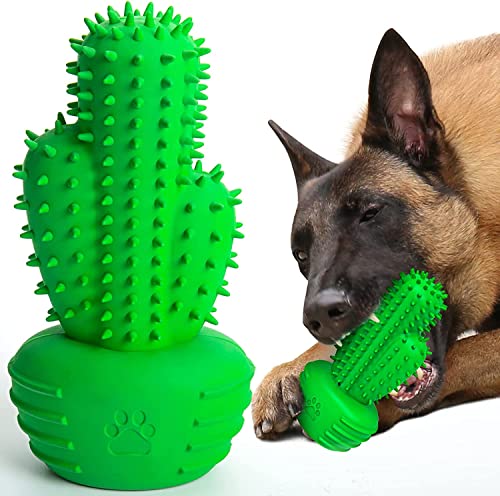 RUCACIO Hundespielzeug für aggressive Kauer, Hundezahnbürstenstab für große Hunde, unzerstörbares Quietschspielzeug für die Zahnreinigung, interaktives Kaktus-Kauspielzeug für Welpen, Hunde, von RUCACIO