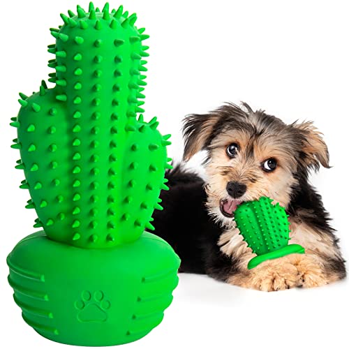 RUCACIO Hundespielzeug für kleine Hunde, Zahnbürste Stick Zahnpflege Zahnreinigung Spielzeug, langlebiges Quietschspielzeug für Hunde von RUCACIO
