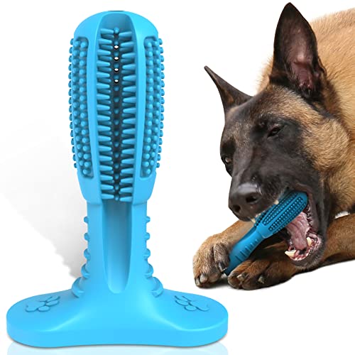 RUCACIO Zahnbürstenstift für Hunde, Welpen, Zahnpflege-Stab, effektive Reinigung der Zähne, ungiftiger Naturkautschuk, beißfest, Kauspielzeug von RUCACIO