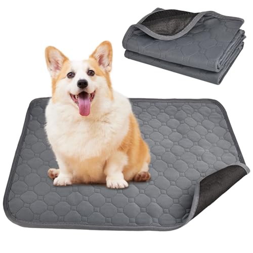 RUCUDIM Wiederverwendbare PIPI Pads für Meerschweinchen 2 Stück, wasserdichte Pipipads für Meerschweinchen, super saugfähige PIPI unterlagen Kaninchen für Hamster, Kaninchen, Hunde RUCUDIM Wiederverwendbare PIPI Pads für Meerschweinchen 2 Stück, wasserdichte Pipipads für Meerschweinchen, super saugfähige PIPI unterlagen Kaninchen für Hamster, Kaninchen, Hunde von RUCUDIM