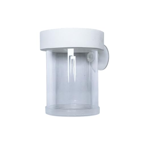 Fish Tank Feeder, Aquarium Fisch fütterung sring, Transparenter schwimmender Fester Feeder, Fütterung sophagus für Aquarium von RUDFUZ