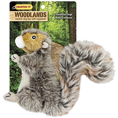 RUFFIN' IT Westminster Pet Products Woodlands Plüsch Eichhörnchen Hundespielzeug, klein RUFFIN' IT Westminster Pet Products Woodlands Plüsch Eichhörnchen Hundespielzeug, klein von RUFFIN' IT