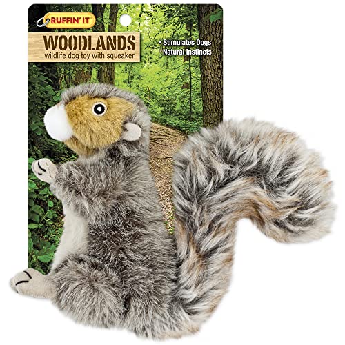 Westminster Pet Products Woodlands Plüsch Eichhörnchen Hundespielzeug, klein von RUFFIN' IT