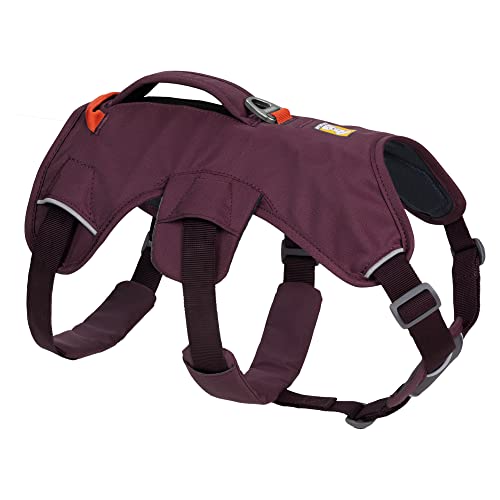 RUFFWEAR Mehrzweck-Hundegeschirr mit Griff, Web Master, verstellbares, Geschirr, 2 Leinenbefestigungen, für den täglichen Gebrauch, Purple Rain, XS RUFFWEAR Mehrzweck-Hundegeschirr mit Griff, Web Master, verstellbares, Geschirr, 2 Leinenbefestigungen, für den täglichen Gebrauch, Purple Rain, XS von RUFFWEAR
