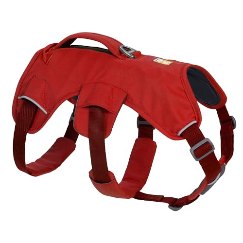 RUFFWEAR Mehrzweck-Hundegeschirr mit Griff, Web Master, verstellbares, Geschirr, 2 Leinenbefestigungen, für den täglichen Gebrauch, Red Sumac, M RUFFWEAR Mehrzweck-Hundegeschirr mit Griff, Web Master, verstellbares, Geschirr, 2 Leinenbefestigungen, für den täglichen Gebrauch, Red Sumac, M von RUFFWEAR