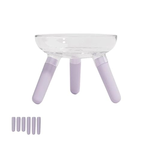 RUIAN Erhöhte Katzennäpfe aus Glas mit Schnurrhaar, Müdigkeit, Katzennapf für Indoor-Katzen verhindern, dass Katzen erbrechen (Violett, mit zwei Sets von Stützsäulen) von RUIAN