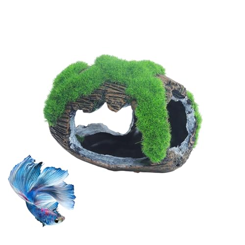 RUIAN Fischversteckhöhle aus Kunstharz mit Löchern für Betta, Garnelen, Buntbarsche zum Verstecken, Spielen und Zuchten, Grünes Aquarium-Zubehör Dekorationen RUIAN Fischversteckhöhle aus Kunstharz mit Löchern für Betta, Garnelen, Buntbarsche zum Verstecken, Spielen und Zuchten, Grünes Aquarium-Zubehör Dekorationen von RUIAN