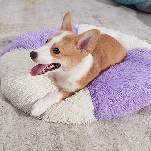 Beruhigende Angst Hunde- und Katzenbett Extra Groß Waschbar Plüsch Hundematratze Sofa Rund Warm Kuscheltier Weich Flauschig Haustierbett Anti-Rutsch Wärmende Haustierbett Maschinenwaschbar Beruhigende Angst Hunde- und Katzenbett Extra Groß Waschbar Plüsch Hundematratze Sofa Rund Warm Kuscheltier Weich Flauschig Haustierbett Anti-Rutsch Wärmende Haustierbett Maschinenwaschbar von RUIBEI