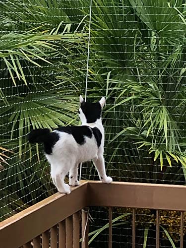 RUIBEI Fenstergitter für Katzen, Katzensicherheitsnetz mit Fixierung Ki, Balkon, transparentes Sicherheitsnetz für Katzen, Kätzchen, Schutz vor Stürzen RUIBEI Fenstergitter für Katzen, Katzensicherheitsnetz mit Fixierung Ki, Balkon, transparentes Sicherheitsnetz für Katzen, Kätzchen, Schutz vor Stürzen von RUIBEI