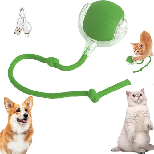 RUICUBEI Chewie Rolling Ball, interaktives Spielzeug für Katzen, interaktives Spielzeug für Katze mit LED-Licht, automatisches 360-Grad-Drehspielzeug für Katzen und Hunde (mit Kordel, grün) von RUICUBEI
