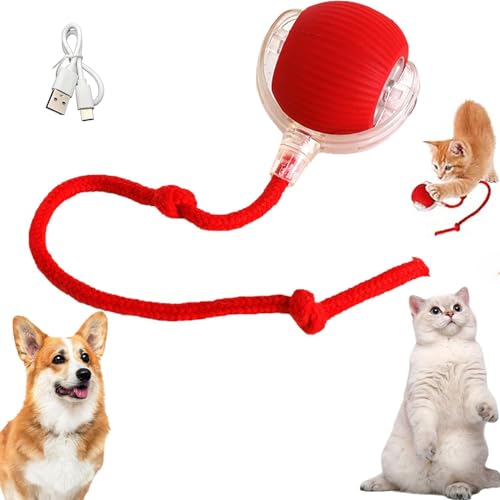RUICUBEI Chewie Rolling Ball, interaktives Spielzeug für Katzen, interaktives Spielzeug für Hunde mit LED-Licht, automatisches 360-Grad-Drehspielzeug für Katzen und Hunde (mit Kordel, rot) von RUICUBEI