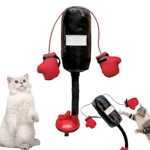 RUICUBEI Interaktives Katzenspielzeug für Hauskatzen, ausgewachsene Katzen, Boxsack, Spielzeug, Kätzchen, automatisches Fitness-Übungs-Begleitspielzeug, lustiges Roly-Poly-Spielzeug von RUICUBEI