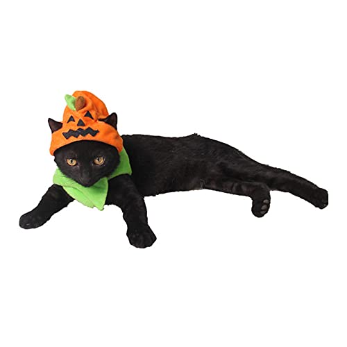 Halloween-Kostüm, Party-Dekorationen, atmungsaktiver Kürbis-Hexenhut für Haustiere, Katzen, Kätzchen, kleine und mittelgroße Hunde, lustiger Streich, verstellbare Kopfhaube mit Ohrlöchern von RUIXIA