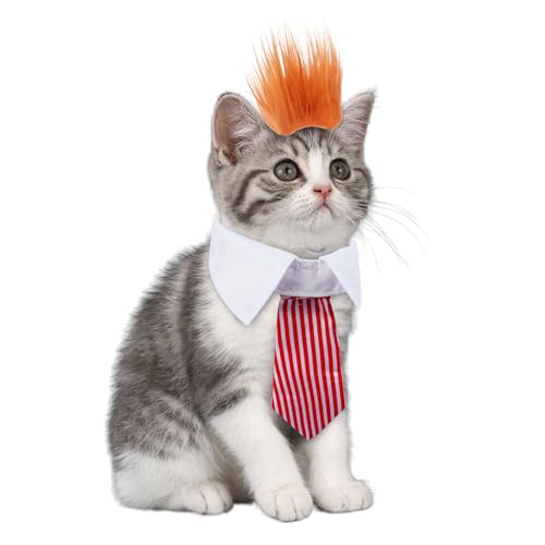 Halloween-Kostüm Hund,Hundehalsband,Hundekatzenhalsband Einstellbare Hundekatzenfliege Hochzeitsfliege,Einstellbare lustige Kopfbedeckung Kostüme für Katzen und kleine Hunde Perückenfliege Set von RUIXIA