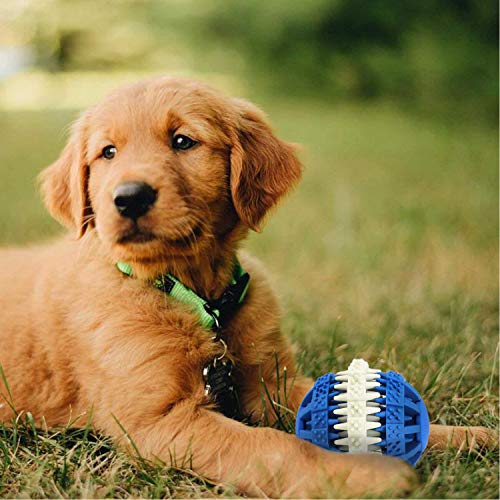 Hundespielzeug Ball Hund Zahn Reinigung Spielzeug Bälle aus Natur-Gummi, Futterball IQ Treat Ball für Reinigen Zähne, mit zahnärztlicher Pflegefunktion Langlebig Interaktive Spielzeuge für Hunde von RUIXIB