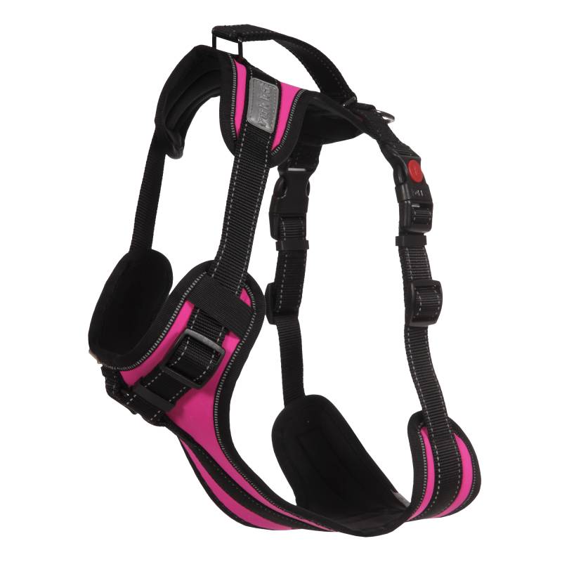 Rukka Geschirr Solid, fuchsia - Größe XS: Brustumfang 42 - 50 cm Rukka Geschirr Solid, fuchsia - Größe XS: Brustumfang 42 - 50 cm von RUKKA