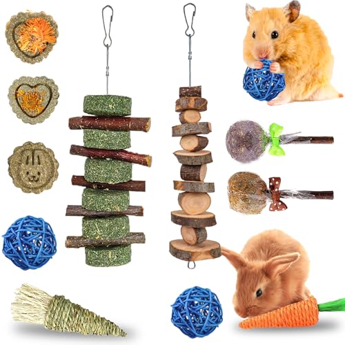 RUNANIA Kaninchen-Kauspielzeug für Zähne, Naturholzstäbe, Timothy Gras, Kauspielzeug für Kaninchen, Meerschweinchen, Hamster, Chinchilla, Rennmäuse RUNANIA Kaninchen-Kauspielzeug für Zähne, Naturholzstäbe, Timothy Gras, Kauspielzeug für Kaninchen, Meerschweinchen, Hamster, Chinchilla, Rennmäuse von RUNANIA