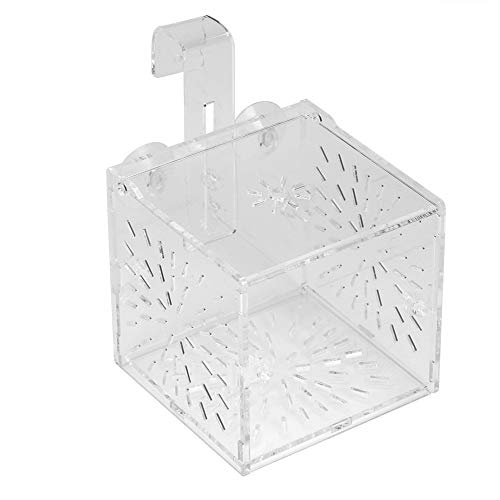 Fisch-Isolationsbox, Fischzucht-Inkubatorhalter, transparente Aquarium-Brüterei, Aquarium-Isolationsbox /7/2110 (Color : 10CM*10CM*10CM) von RUNSIBA