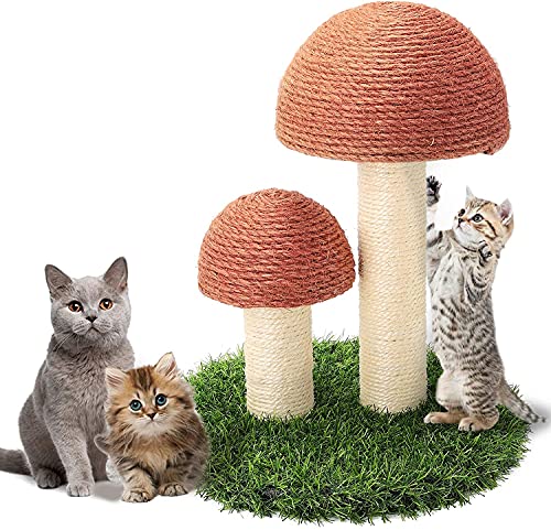 Kratzbaumturm, Pilz-Katzenkratzbaum, Kätzchenmöbel, Kletterer, Katzenaktivitätszentren mit Sisal-Kratzstämmen for Spielen, Entspannen, Schlafen for Kätzchen, OPPT01/159/2076 Kratzbaumturm, Pilz-Katzenkratzbaum, Kätzchenmöbel, Kletterer, Katzenaktivitätszentren mit Sisal-Kratzstämmen for Spielen, Entspannen, Schlafen for Kätzchen, OPPT01/159/2076 von RUNSIBA