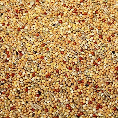 25kg Ruvo Wellensittich Standard 25kg Ruvo Wellensittich Standard von RUVO