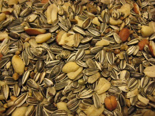 Meisenfutter extra, Vogelfutter, RUVO, 10 kg Meisenfutter extra, Vogelfutter, RUVO, 10 kg von RUVO