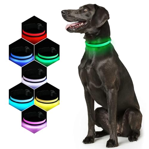 RUXAN Hundehalsband Leuchtend USB Aufladbar Regendicht 7 Farbwechsel Einstellbare LED Leichte Halsband Hunde für Nacht - Sicherheitshalsband mit blinkendem für Hunde, Katzen von RUXAN