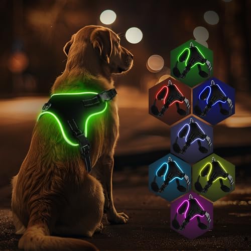 RUXAN Leuchtend Hundegeschirr, LED Hundeweste Geschirr wiederaufladbar, 7 Farben Hundelicht Geschirr für Nachtspaziergang Weiches Verstellbares Hundegeschirr für Kleine, Mittlere Große Hunde von RUXAN