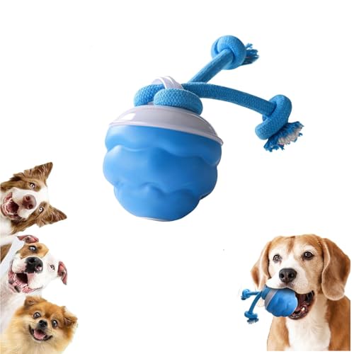 Power Tail 2.0 Hundespielzeug, interaktives Hundespielzeug, intelligenter Springball, um sie zu beschäftigen, bewegungsaktivierter Rollball für Welpen, klein, über USB wiederaufladbar (1 Stück) von RUXHSAK