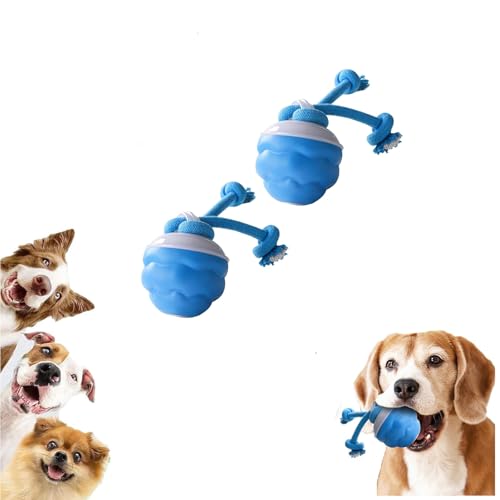 Power Tail 2.0 Hundespielzeug, interaktives Hundespielzeug, intelligenter Springball, um sie zu beschäftigen, bewegungsaktivierter Rollball für Welpen, klein, über USB wiederaufladbar (2 Stück) von RUXHSAK