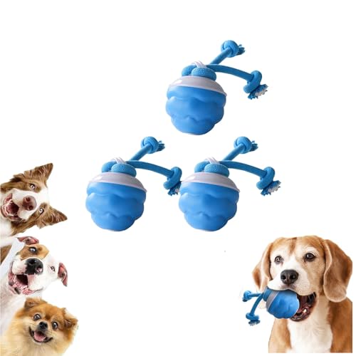Power Tail 2.0 Hundespielzeug, interaktives Hundespielzeug, intelligenter Springball, um sie zu beschäftigen, bewegungsaktivierter Rollball für Welpen, klein, über USB wiederaufladbar (3 Stück) von RUXHSAK