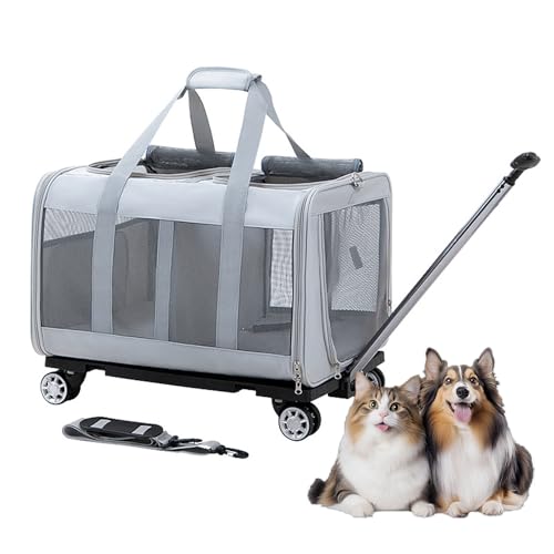 RUYICZB Doppel Transportbox für Haustiere mit Rädern, Katzentransportbox auf Rollen mit atmungsaktivem Netz für 2 Katzen, Reisebox für Katzen,Grau von RUYICZB