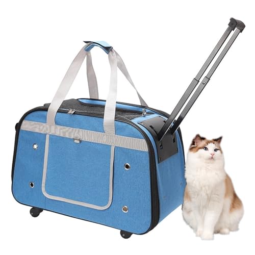 RUYICZB Haustier-Transportbox mit Rädern für kleine Hunde und Katzen, Haustier-Reisebox auf Rädern mit verbesserten Rädern und kratzfestem Netz,Blau RUYICZB Haustier-Transportbox mit Rädern für kleine Hunde und Katzen, Haustier-Reisebox auf Rädern mit verbesserten Rädern und kratzfestem Netz,Blau von RUYICZB