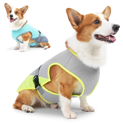 RUYICZB Hund Kühlweste, Atmungsaktiv Hundekühlweste, Sommer Cool Hundejacke, Cooler Komfortabler Hundemantel Für Kleine Bis Mittelgroße Hunde Aktivitäten Draußen Training, 2 Stück,M RUYICZB Hund Kühlweste, Atmungsaktiv Hundekühlweste, Sommer Cool Hundejacke, Cooler Komfortabler Hundemantel Für Kleine Bis Mittelgroße Hunde Aktivitäten Draußen Training, 2 Stück,M von RUYICZB