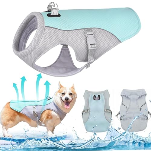 RUYICZB Hund Kühlweste Geschirr, Atmungsaktive Mesh Hund Cool Jacke Einstellbare Sommer Hund Mantel Reflektierende Sicherheit EIS Kleidung Für Große Mittlere Kleine Hunde Im Freien,S RUYICZB Hund Kühlweste Geschirr, Atmungsaktive Mesh Hund Cool Jacke Einstellbare Sommer Hund Mantel Reflektierende Sicherheit EIS Kleidung Für Große Mittlere Kleine Hunde Im Freien,S von RUYICZB