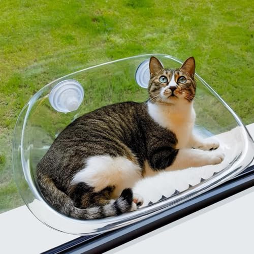 RUYICZB Katzen Fensterliege Katzenbett Fenster Hängematte Für Fenster Mit Stabil Saugnäpfe Katze Fensterbank Sitzstange Für Katze Sonniger Katzenhängematte Bis Zu 20Kg,Clear RUYICZB Katzen Fensterliege Katzenbett Fenster Hängematte Für Fenster Mit Stabil Saugnäpfe Katze Fensterbank Sitzstange Für Katze Sonniger Katzenhängematte Bis Zu 20Kg,Clear von RUYICZB