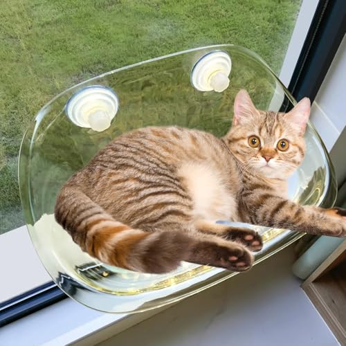 RUYICZB Katzen Fensterliege Katzenbett Fenster Hängematte Für Fenster Mit Stabil Saugnäpfe Katze Fensterbank Sitzstange Für Katze Sonniger Katzenhängematte Bis Zu 20Kg,Gelb RUYICZB Katzen Fensterliege Katzenbett Fenster Hängematte Für Fenster Mit Stabil Saugnäpfe Katze Fensterbank Sitzstange Für Katze Sonniger Katzenhängematte Bis Zu 20Kg,Gelb von RUYICZB