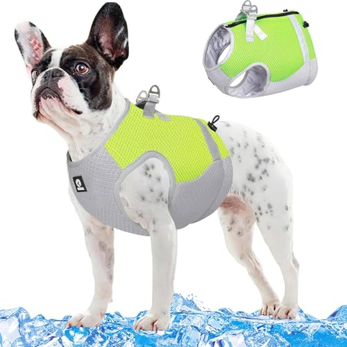 RUYICZB Kühlweste Für Hunde, Hund Kühlweste Geschirr Für Kleine Mittlere Hunde Atmungsaktive Verstellbare Kühljacke Haustier Kühlmantel Reflektierende Sommer Hundekühlweste,Grün,XL RUYICZB Kühlweste Für Hunde, Hund Kühlweste Geschirr Für Kleine Mittlere Hunde Atmungsaktive Verstellbare Kühljacke Haustier Kühlmantel Reflektierende Sommer Hundekühlweste,Grün,XL von RUYICZB