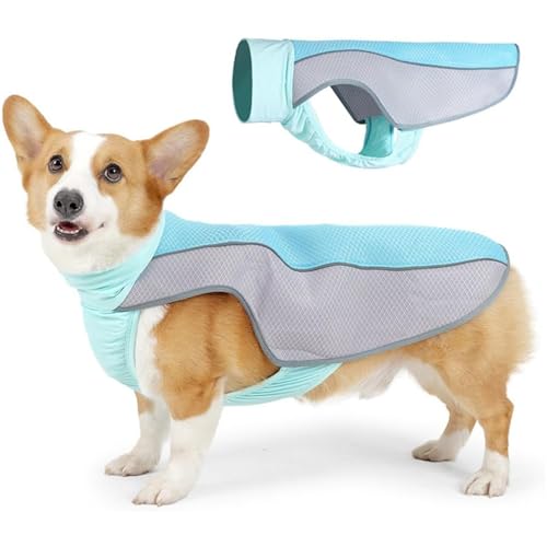 RUYICZB Kühlweste Für Hunde, Hundekühlwesten Atmungsaktives Kühljacke Für Hunde Mit Reflektierenden Streifen Sommer Hundekühlweste Für Kleine Mittelgroße Große Hunde,Blau,L RUYICZB Kühlweste Für Hunde, Hundekühlwesten Atmungsaktives Kühljacke Für Hunde Mit Reflektierenden Streifen Sommer Hundekühlweste Für Kleine Mittelgroße Große Hunde,Blau,L von RUYICZB